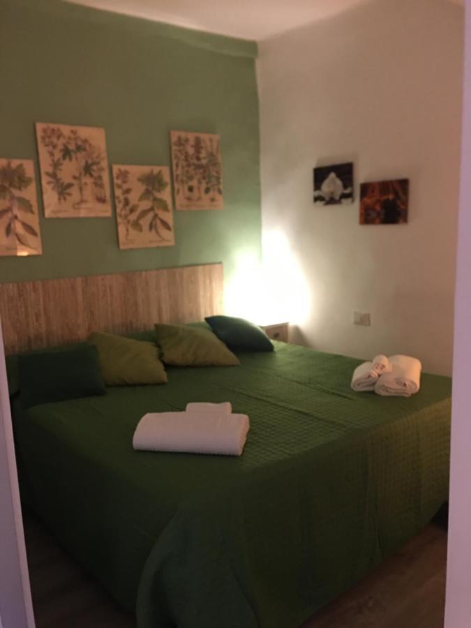 Casa Noah Daire Bolonya Dış mekan fotoğraf